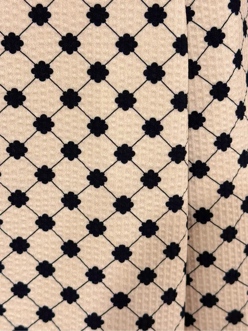 TOCCA Y.N コーディネート画像