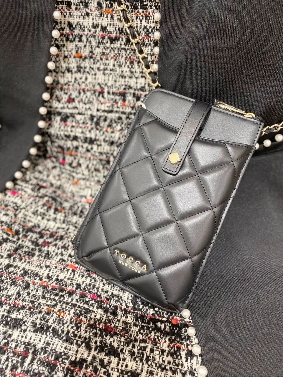 TOCCA 𝒽 コーディネート画像