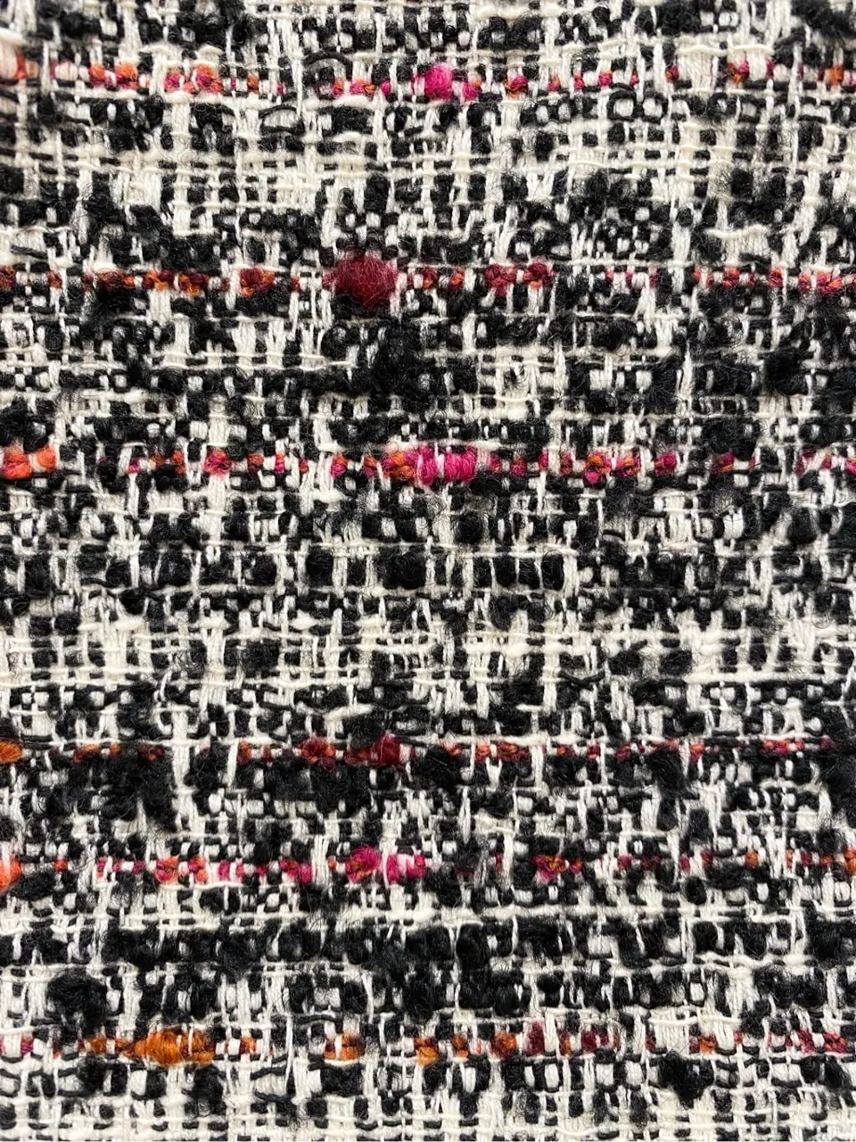 TOCCA 𝒽 コーディネート画像