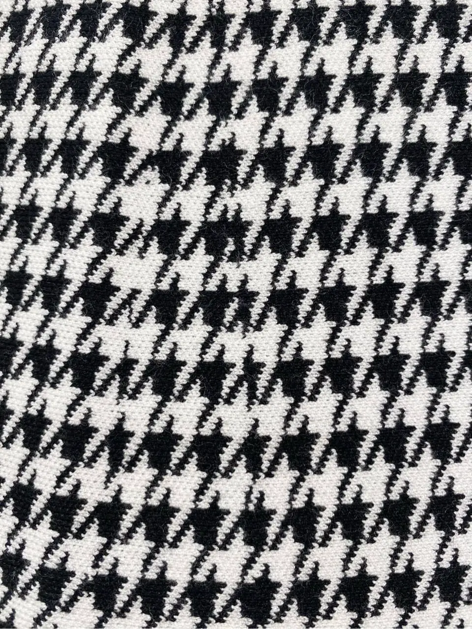 TOCCA 𝒽 コーディネート画像