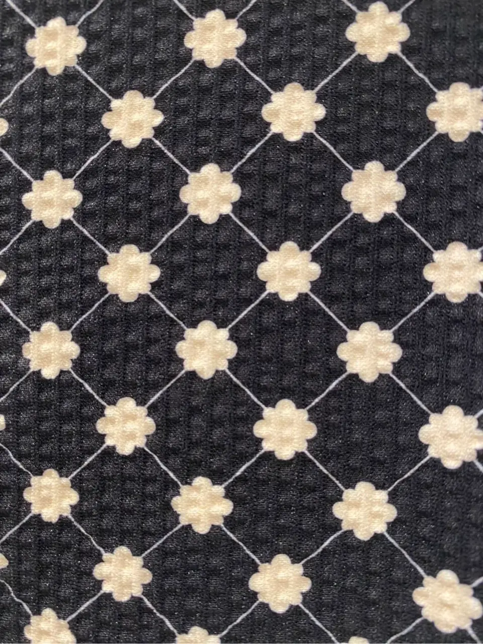 TOCCA 𝒽 コーディネート画像