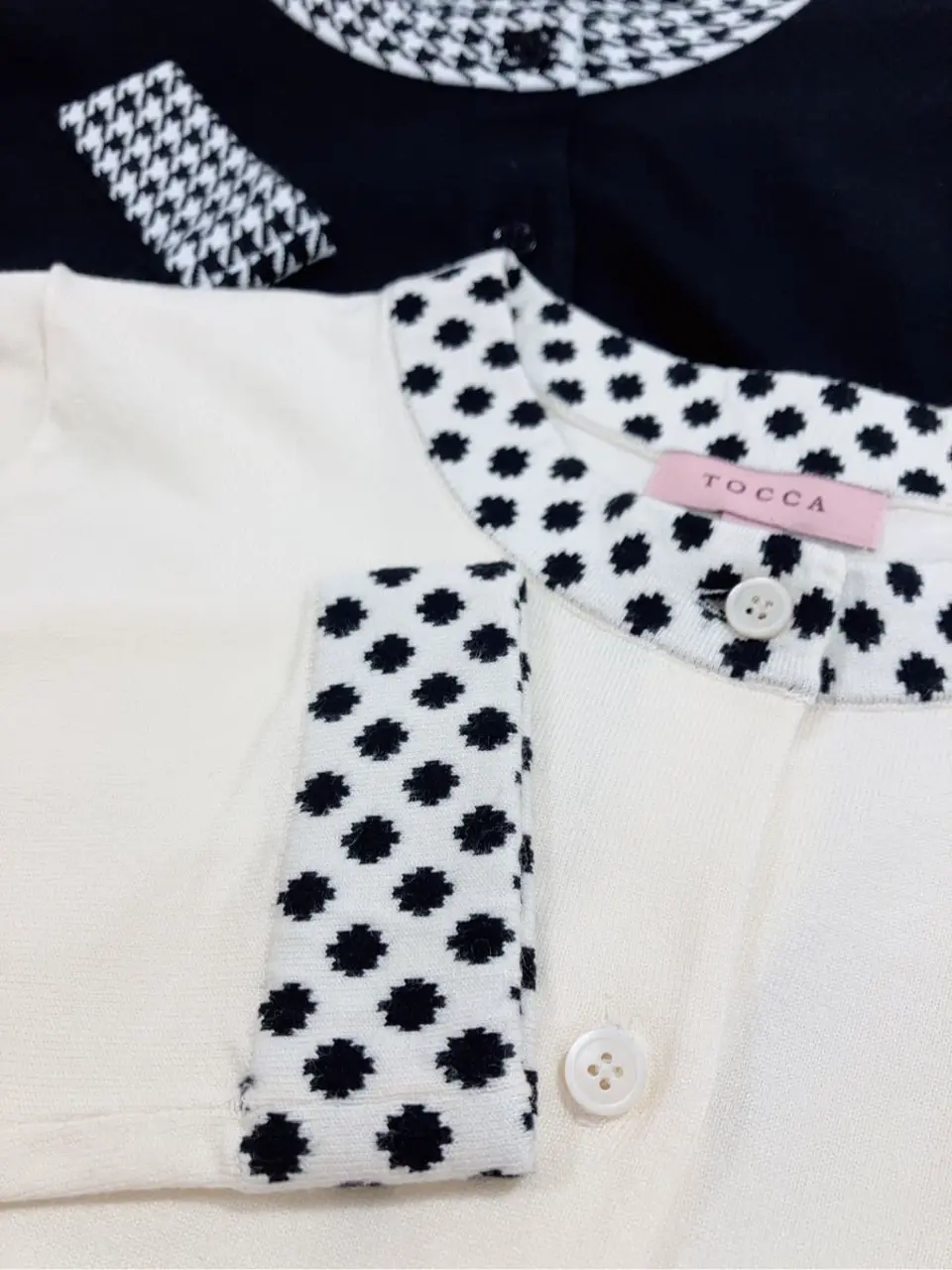 TOCCA 𝓕 コーディネート画像