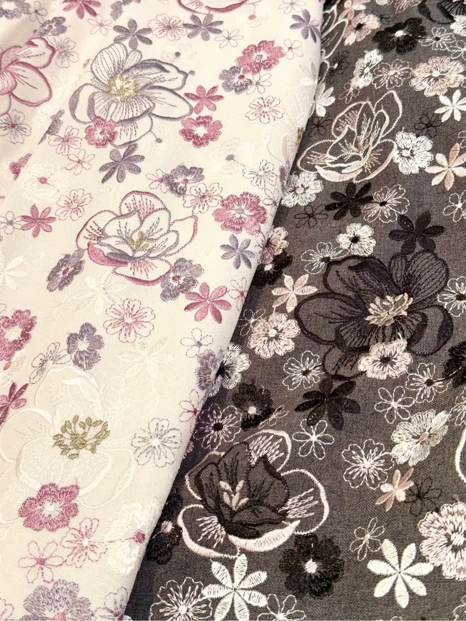 TOCCA 𝕂 コーディネート画像