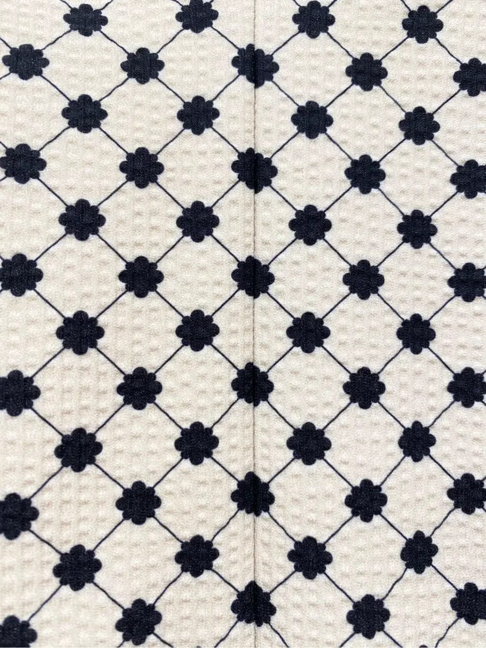 TOCCA 𝒽 コーディネート画像