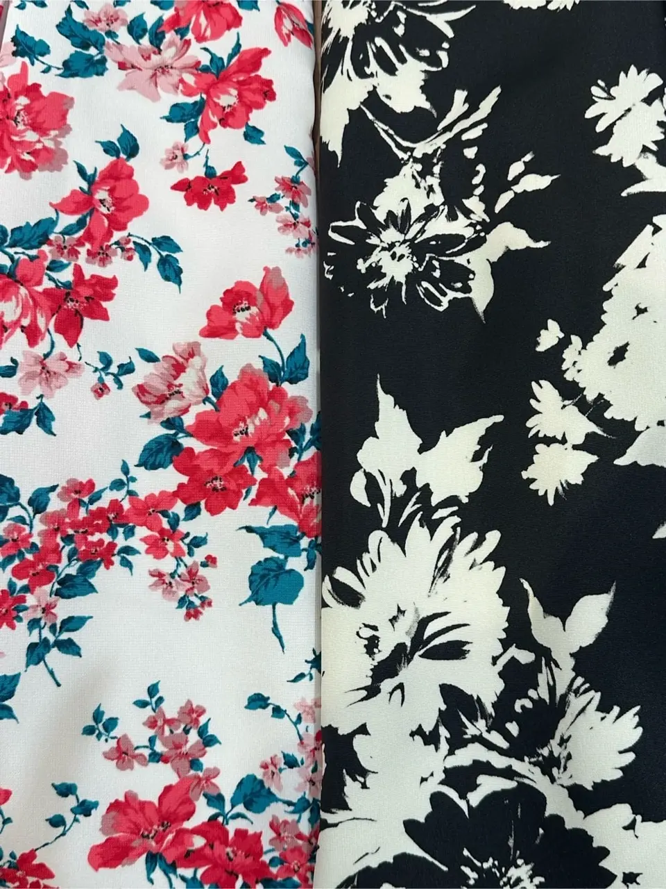 TOCCA 𝕂 コーディネート画像