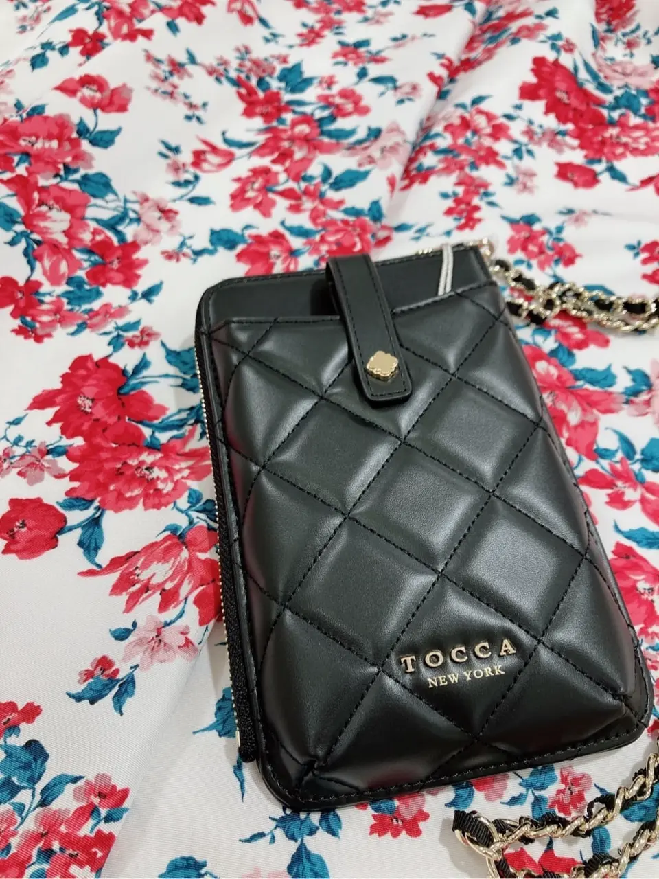 TOCCA 𝓕 コーディネート画像