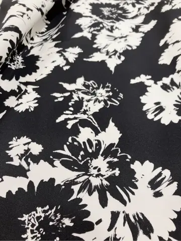 TOCCA 𝓕 コーディネート画像