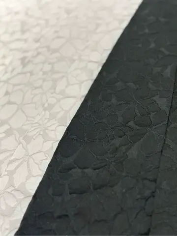 TOCCA 𝕂 コーディネート画像