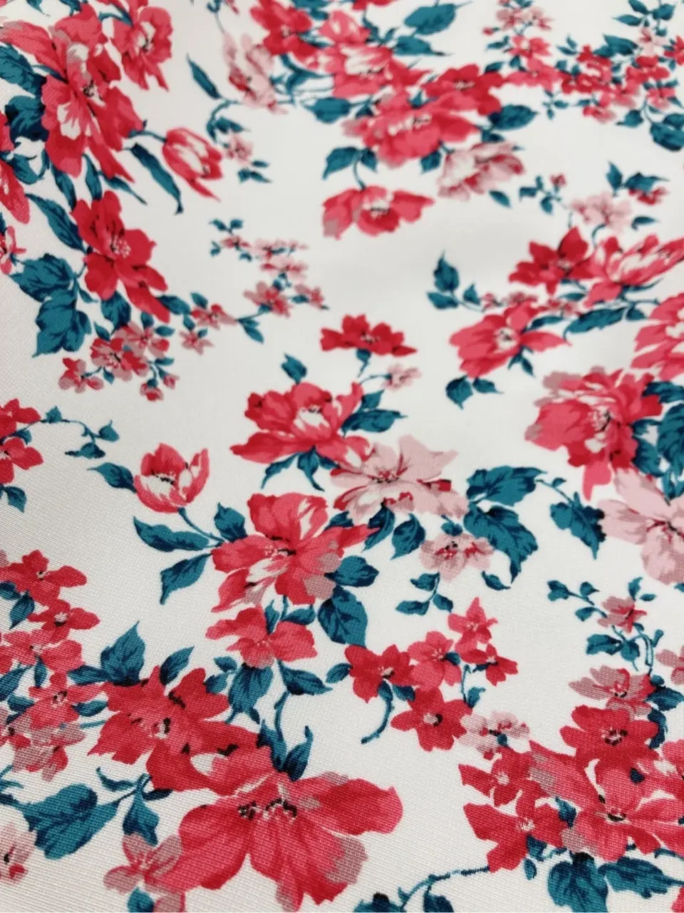 TOCCA 𝓕 コーディネート画像