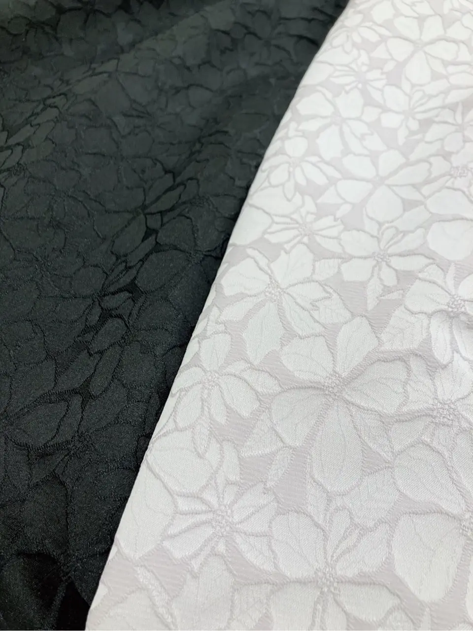 TOCCA 𝓕 コーディネート画像