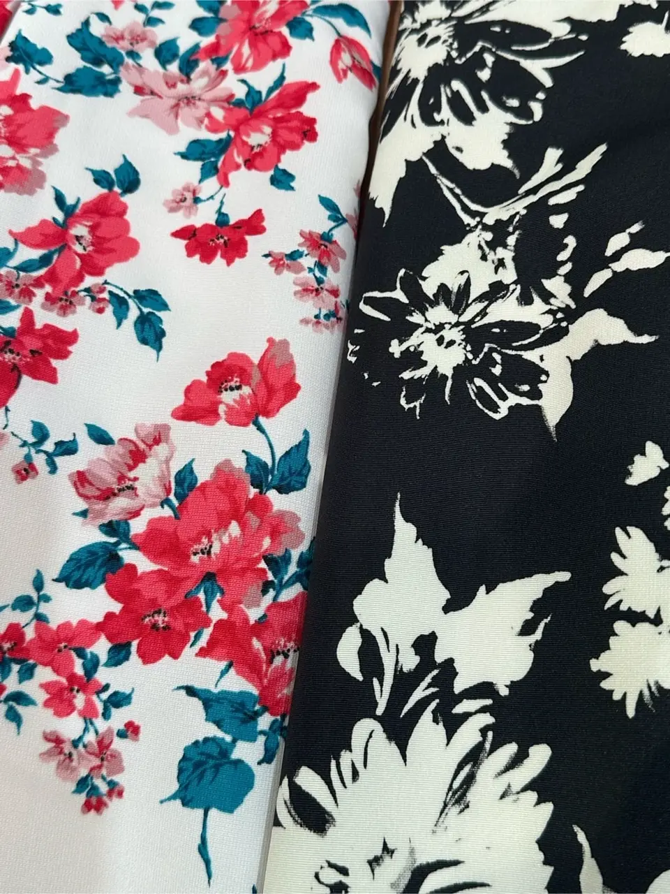 TOCCA 𝕂 コーディネート画像