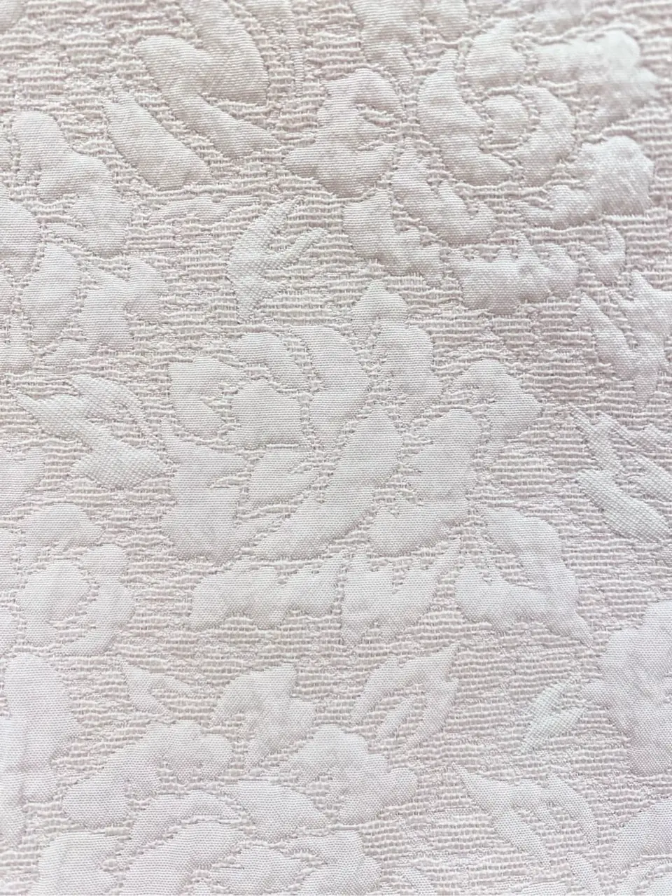 TOCCA 𝒽 コーディネート画像