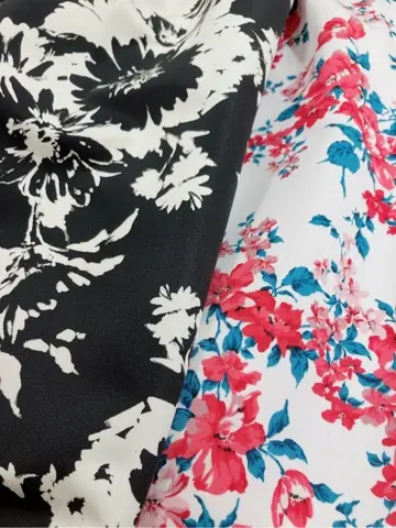 TOCCA 𝓕 コーディネート画像