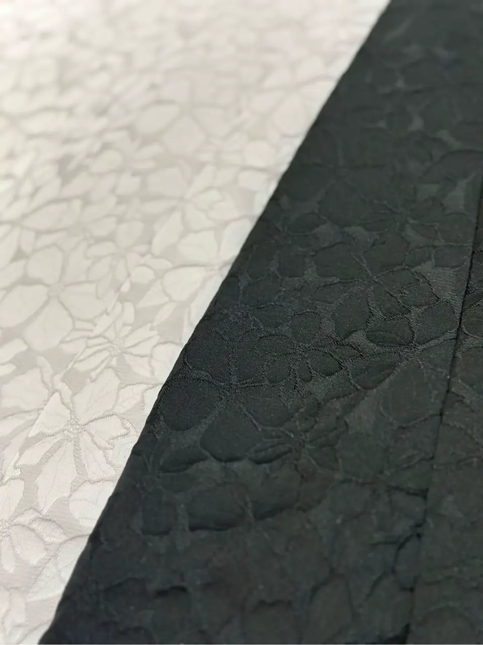 TOCCA 𝕂 コーディネート画像