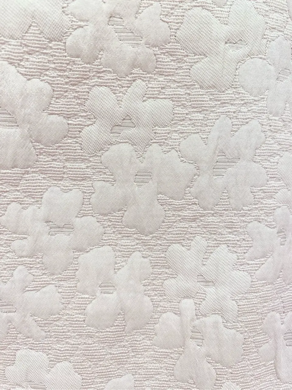 TOCCA 𝒽 コーディネート画像