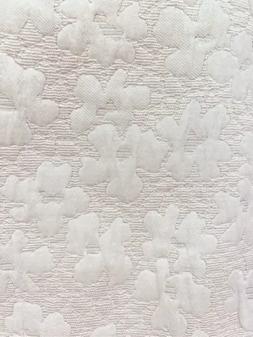 TOCCA 𝒽 コーディネート画像