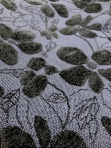 TOCCA 𝓕 コーディネート画像