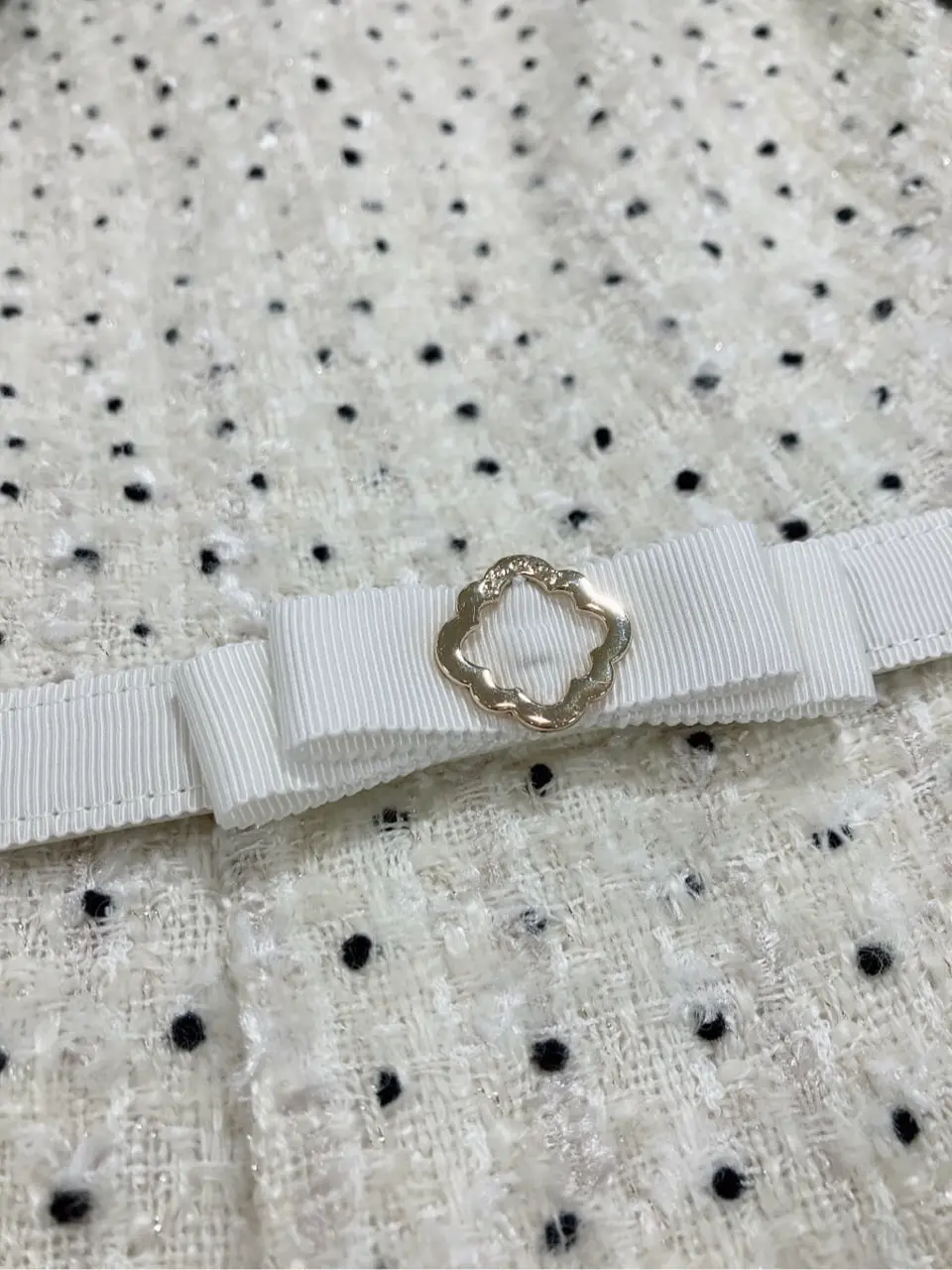 TOCCA 𝓕 コーディネート画像