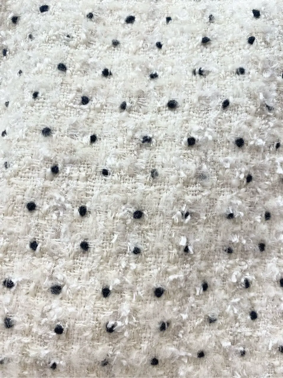 TOCCA 𝒽 コーディネート画像