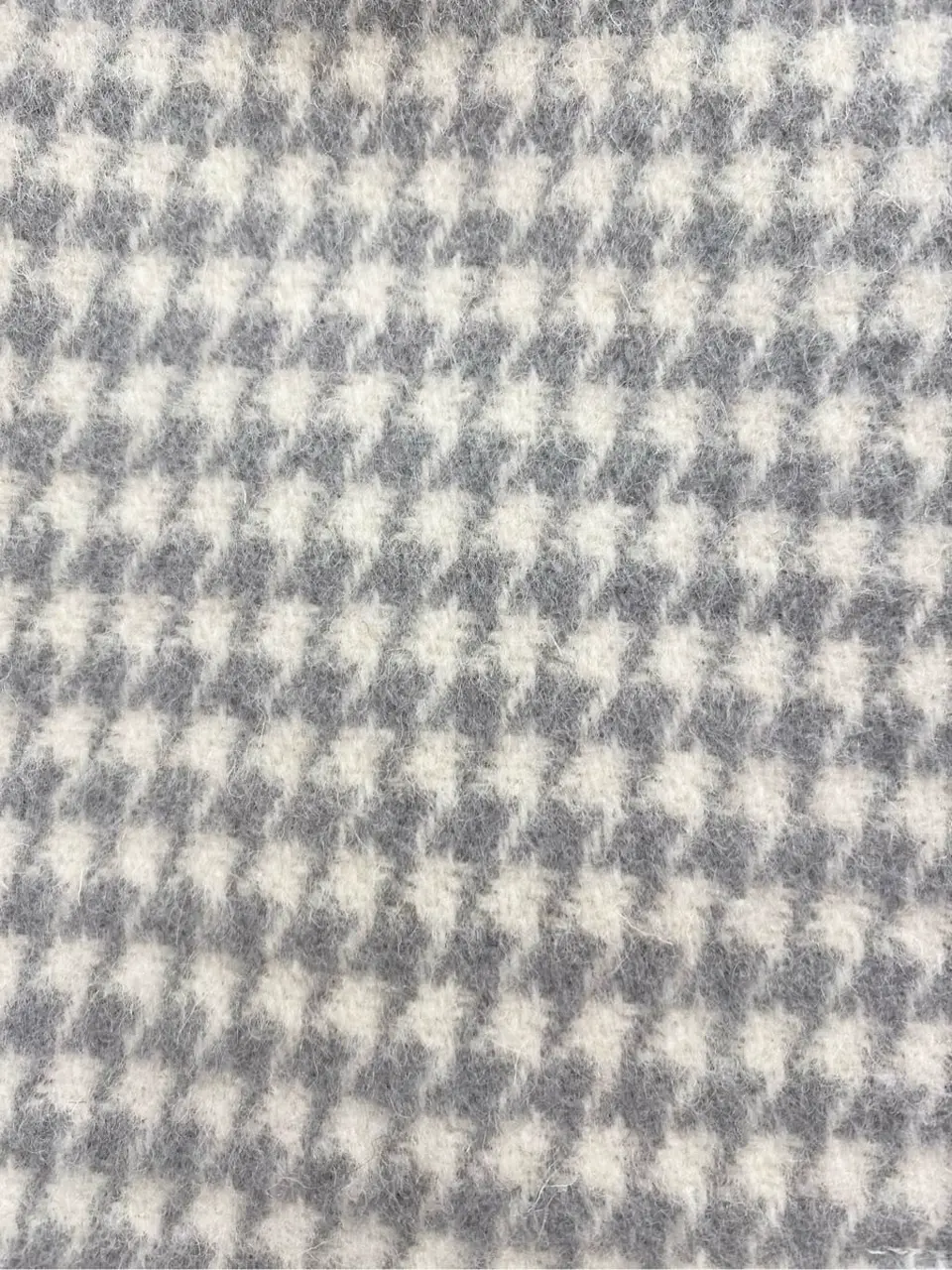 TOCCA 𝒽 コーディネート画像