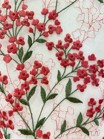 TOCCA 𝒽 コーディネート画像