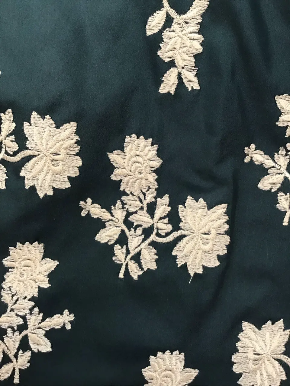 TOCCA C.K  コーディネート画像