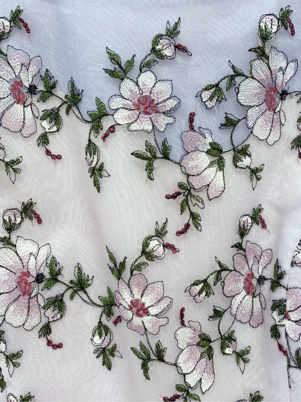 TOCCA 𝒽 コーディネート画像