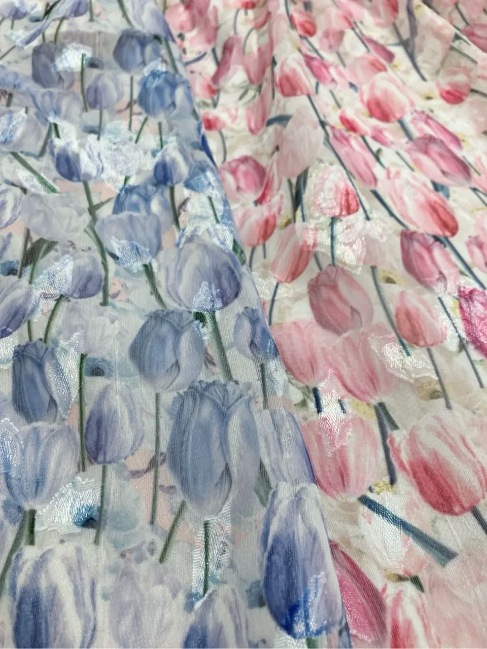 TOCCA 𝓕 コーディネート画像