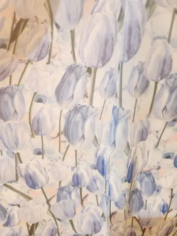 TOCCA スタッフＳ コーディネート画像