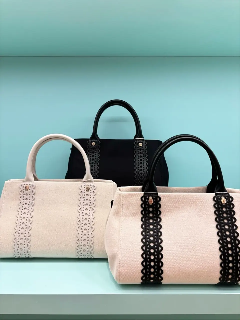 TOCCA 𝒽 コーディネート画像