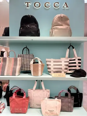 TOCCA 𝒽 コーディネート画像