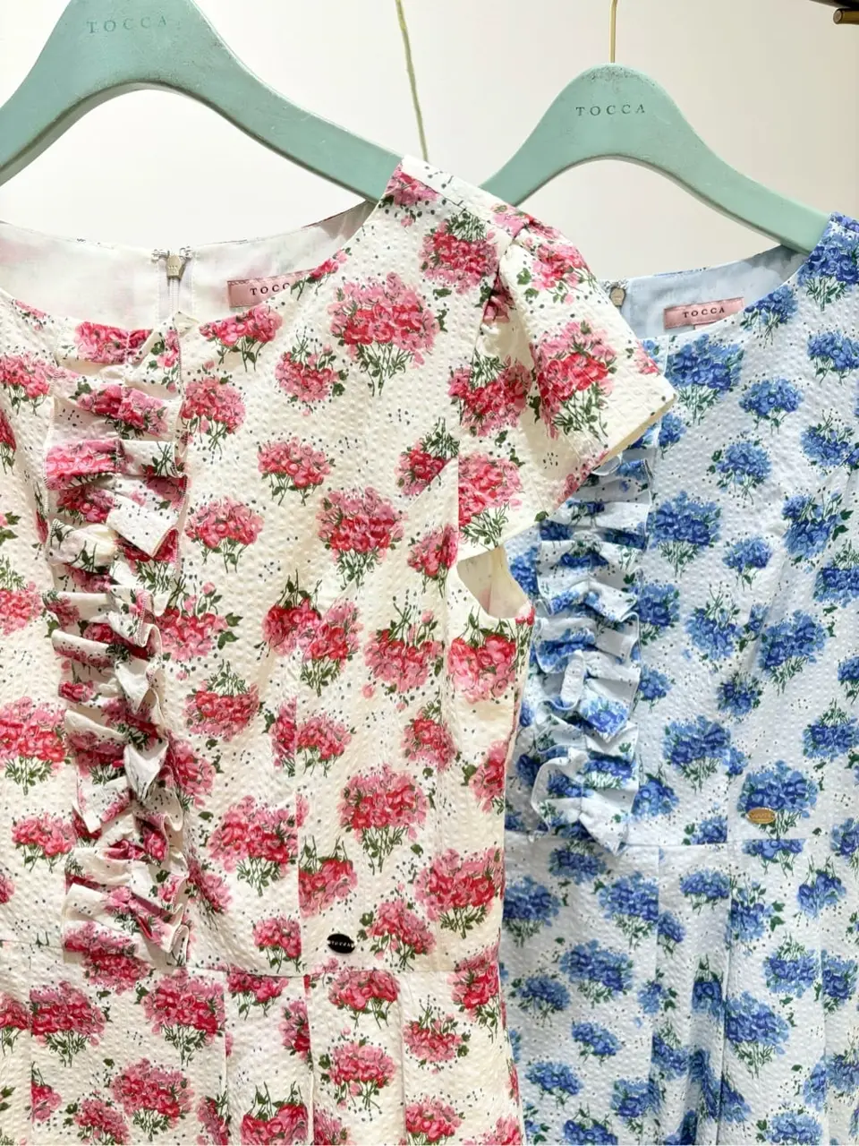 TOCCA 𝒽 コーディネート画像