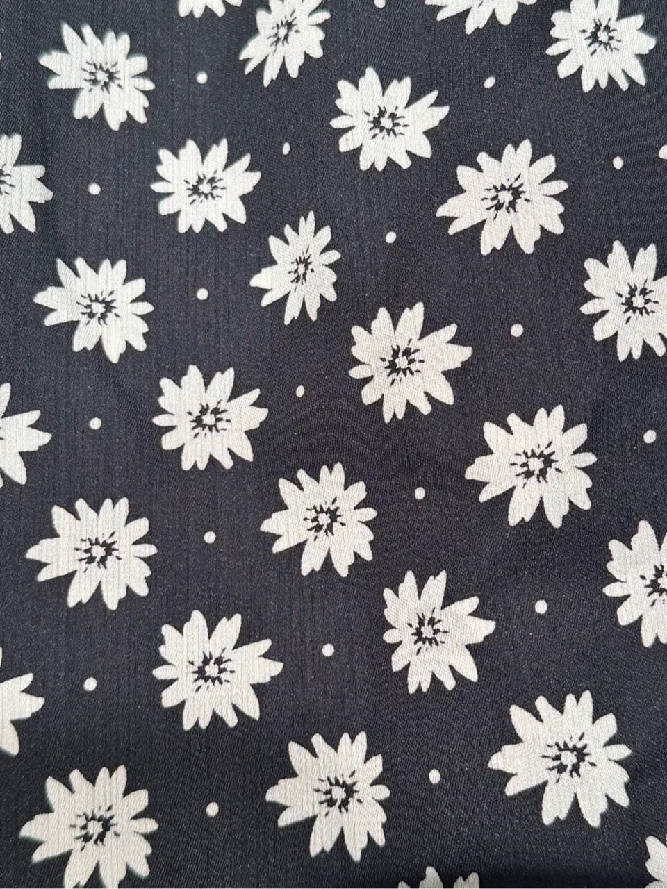 TOCCA 𝕂 コーディネート画像