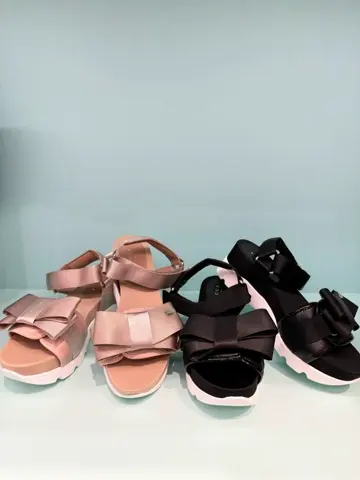 TOCCA 𝒽 コーディネート画像