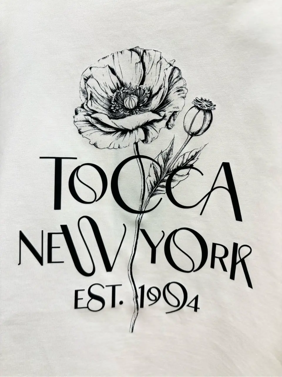 TOCCA 𝒽 コーディネート画像