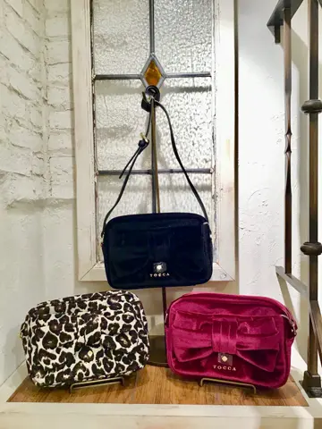 TOCCA C.K  コーディネート画像