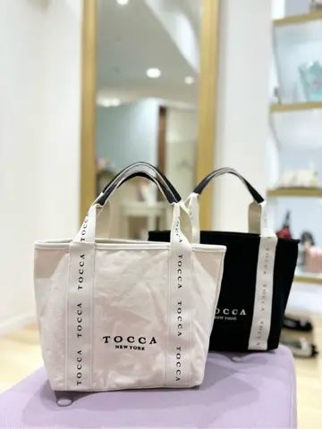 TOCCA 𝒽 コーディネート画像
