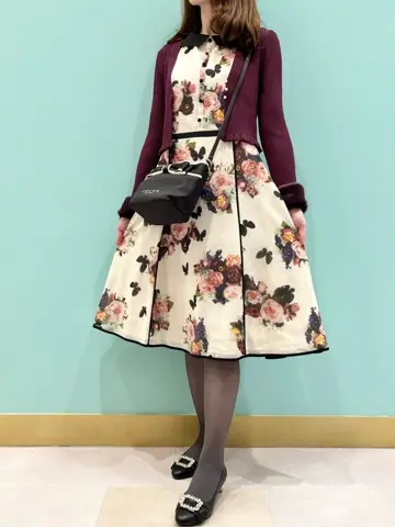 TOCCA 𝒽 コーディネート画像