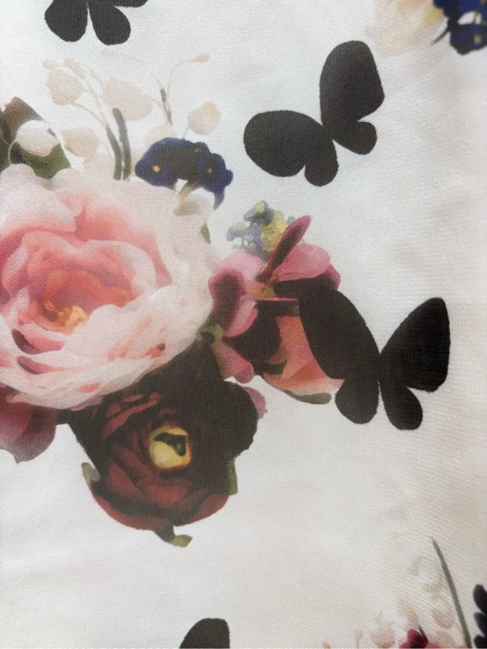 TOCCA 𝒽 コーディネート画像