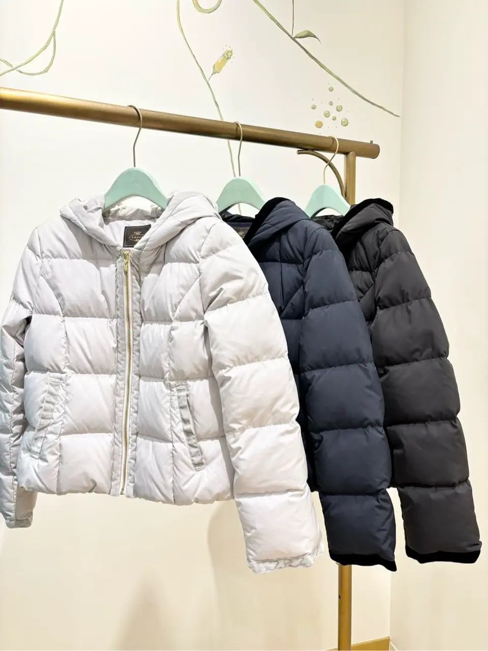 TOCCA 𝒽 コーディネート画像