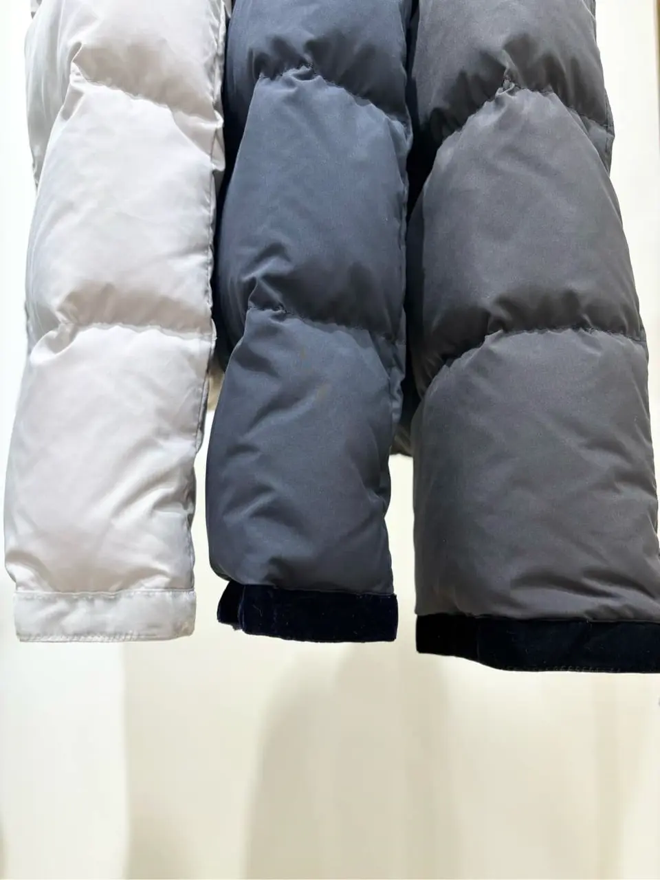 TOCCA 𝒽 コーディネート画像