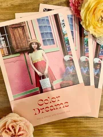 TOCCA C.K  コーディネート画像