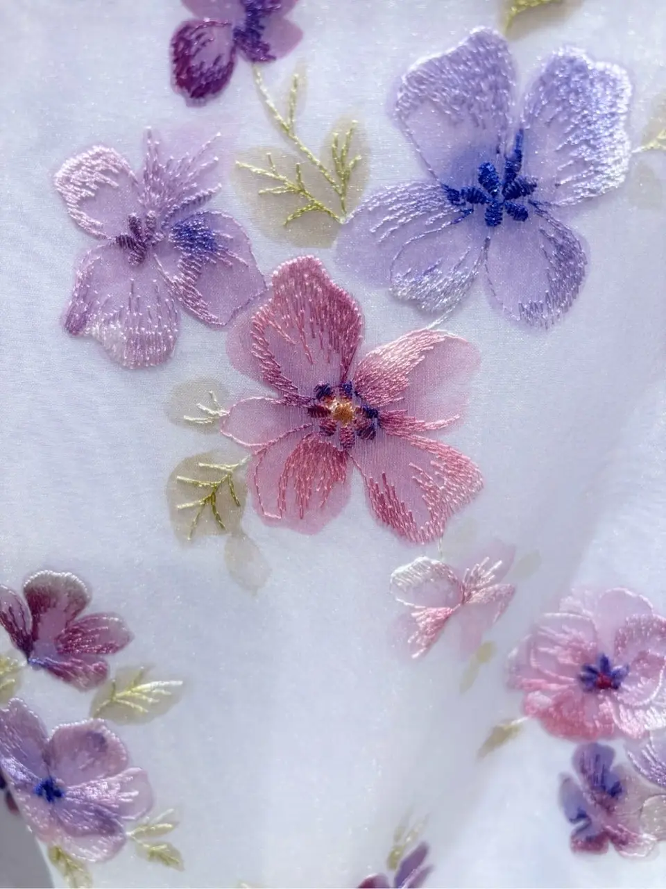 TOCCA 𝒽 コーディネート画像