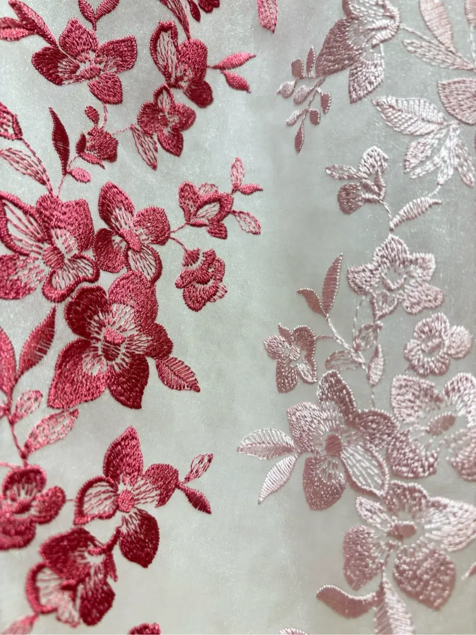 TOCCA 𝒽 コーディネート画像