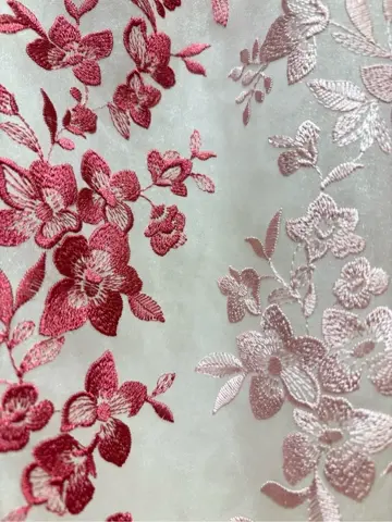 TOCCA 𝒽 コーディネート画像