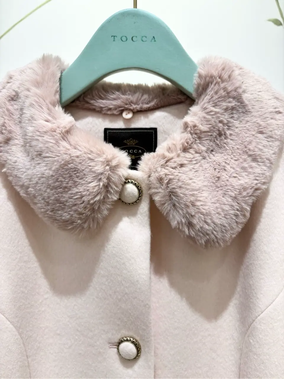 TOCCA 𝒽 コーディネート画像