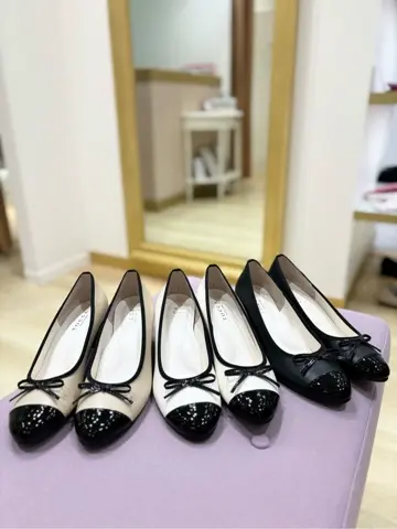 TOCCA 𝒽 コーディネート画像