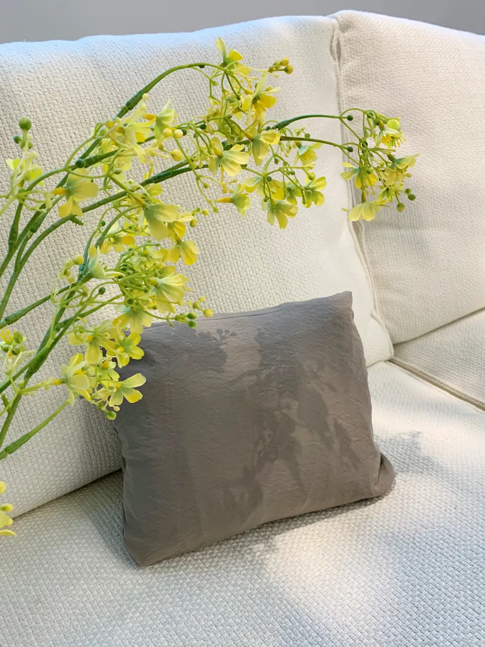 TOCCA staff ai コーディネート画像