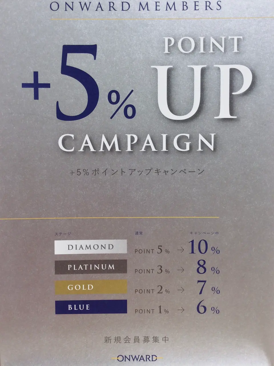 TOCCA Y.K コーディネート画像