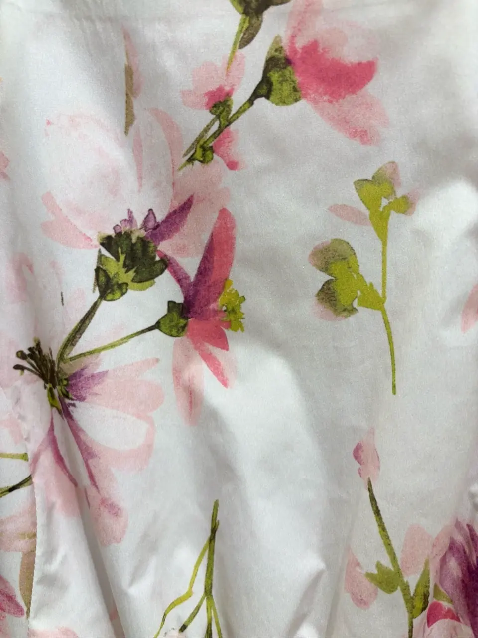 TOCCA 𝒽 コーディネート画像